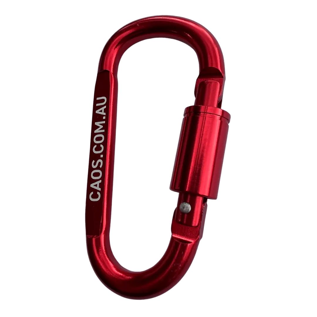 CAOS 4Pk Carabiner Snap Hook & Lock