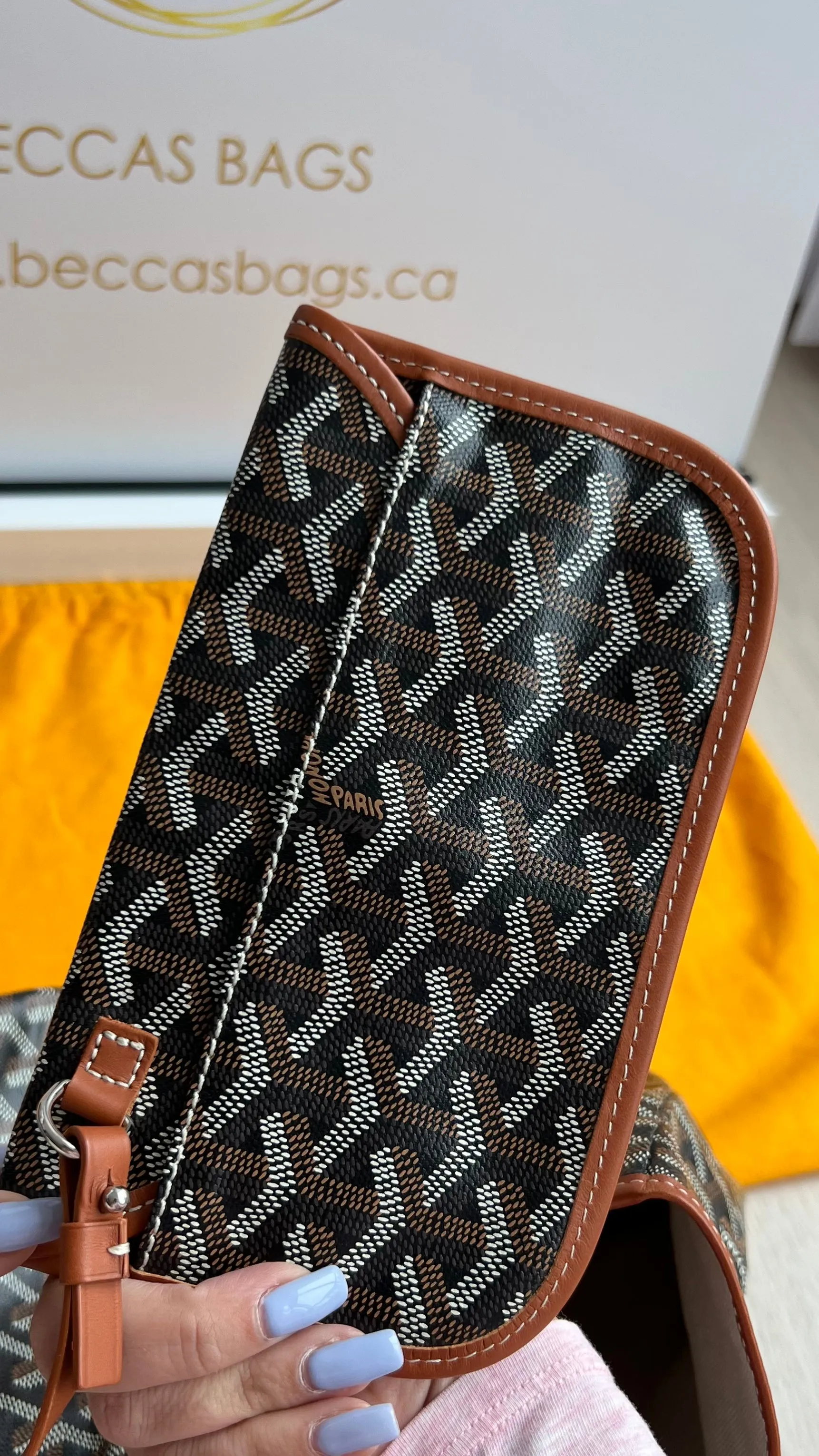 Goyard St Louis Bag