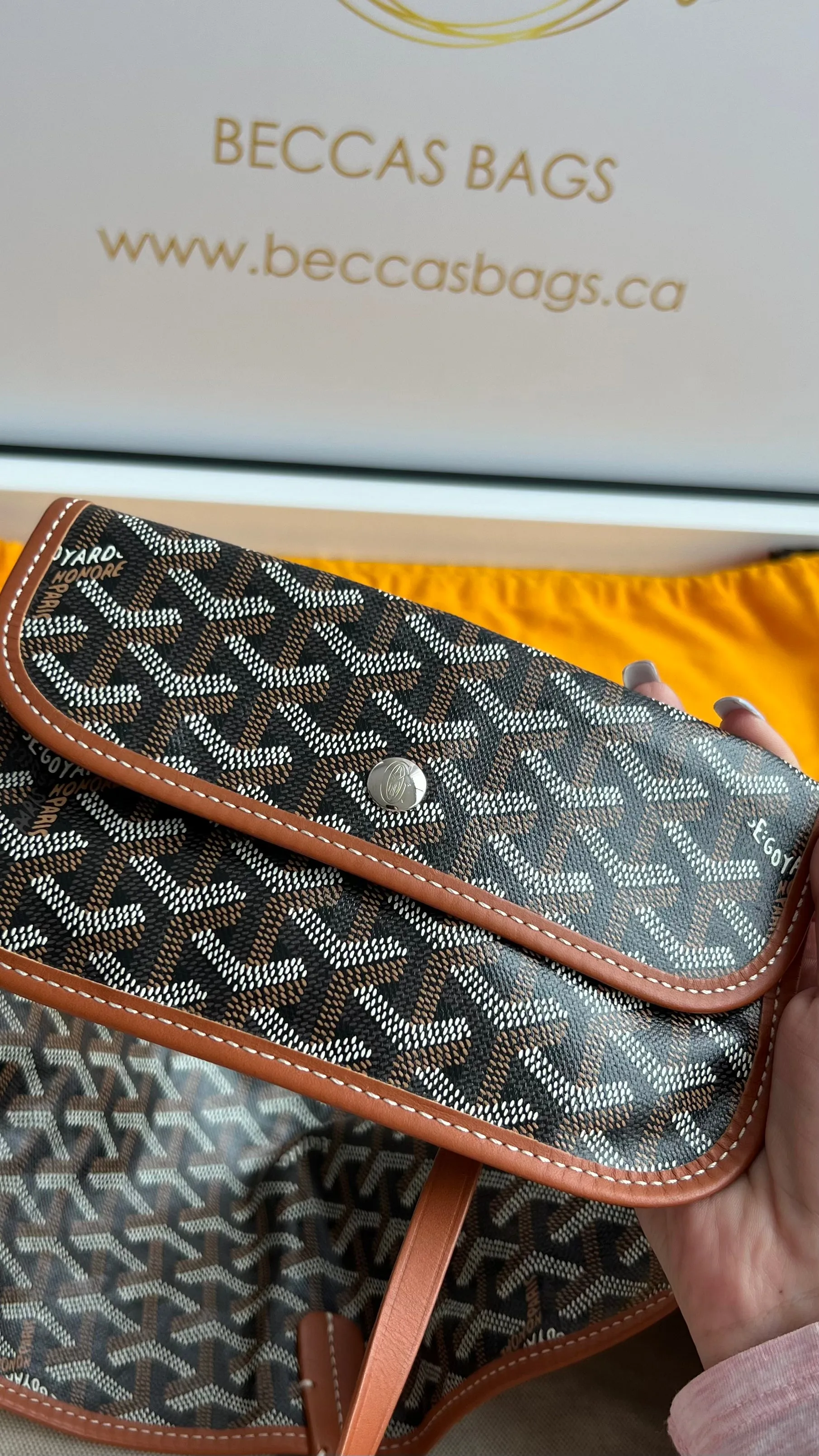 Goyard St Louis Bag