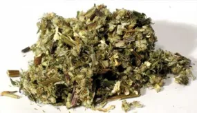 Herb, Mugwort, 1oz